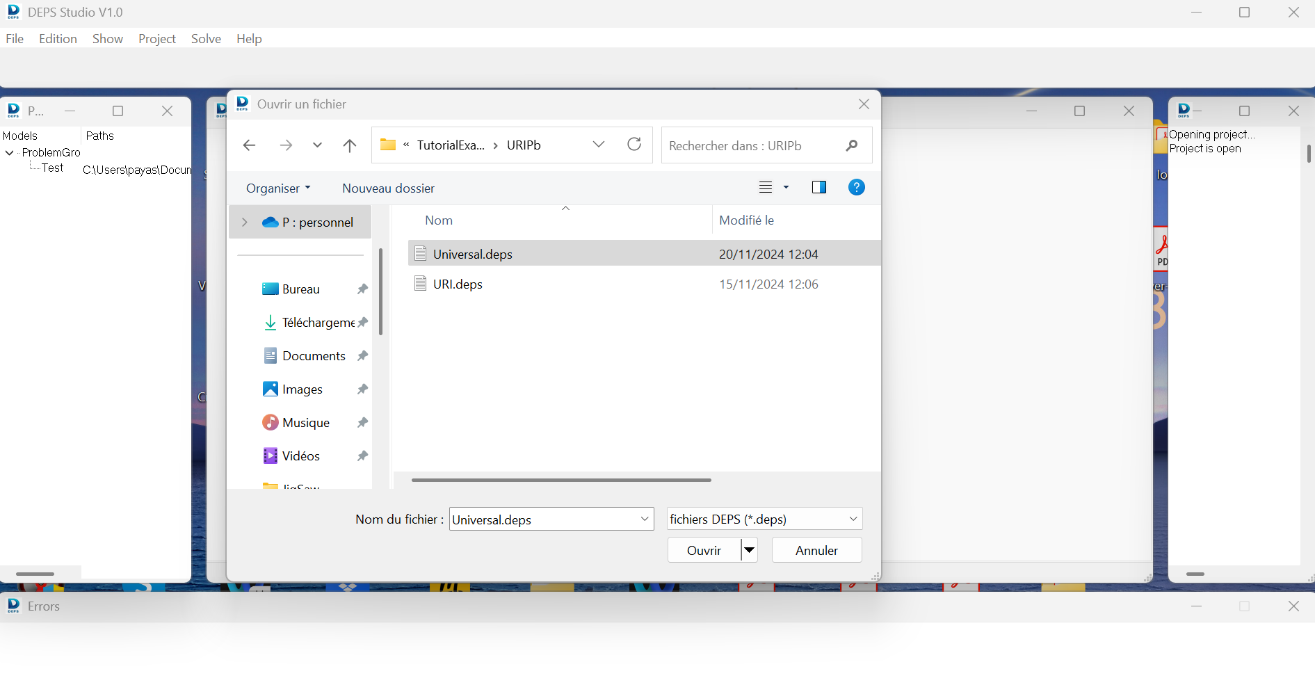 ../_images/AddToProjectPackage.png